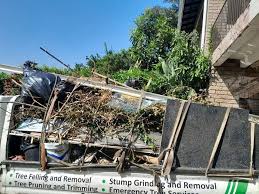 Best Hoarding Cleanup  in Keokuk, IA